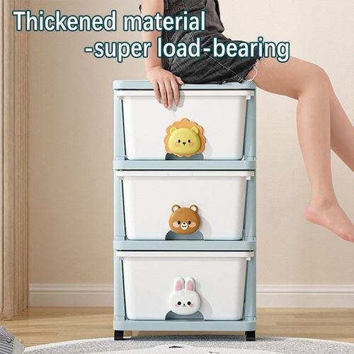 Drawer Storage Rack